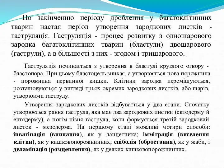 По закінченню періоду дроблення у багатоклітинних тварин настає період утворення