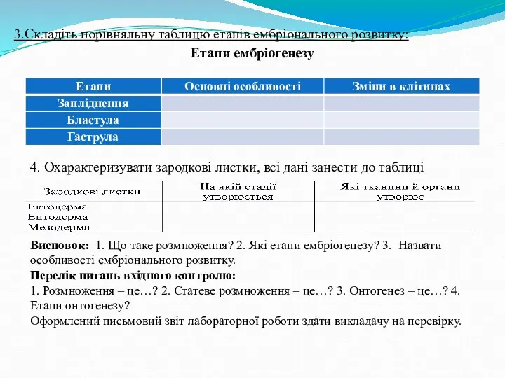 3.Складіть порівняльну таблицю етапів ембріонального розвитку: Етапи ембріогенезу 4. Охарактеризувати