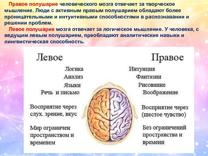 Правое полушарие человеческого мозга отвечает за творческое мышление. Люди с