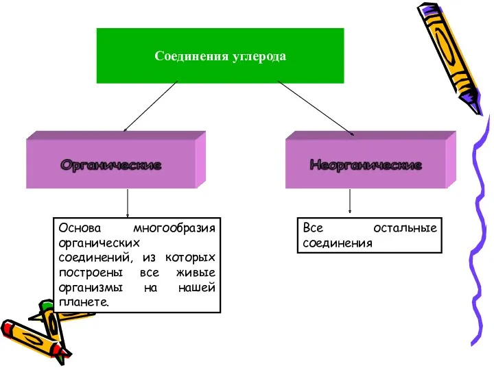 Соединения углерода Основа многообразия органических соединений, из которых построены все