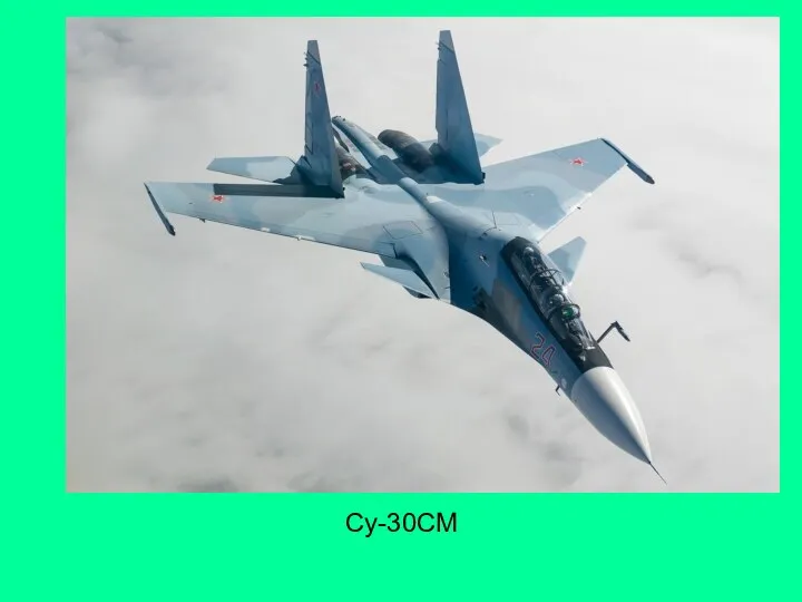 Су-30СM