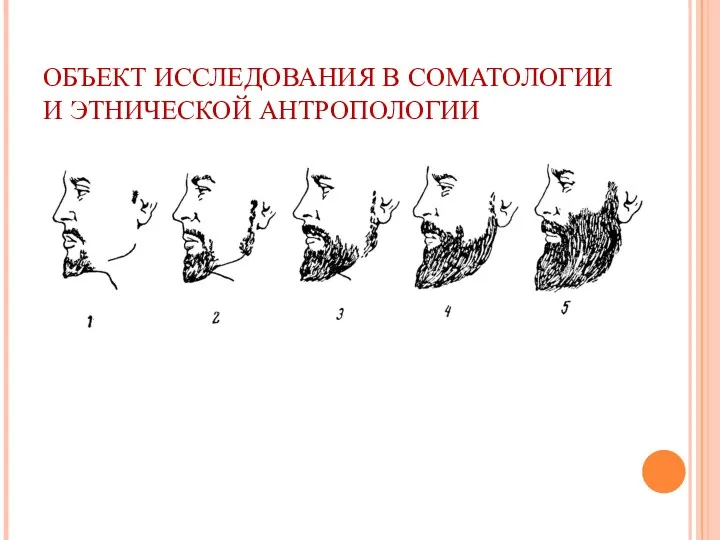 ОБЪЕКТ ИССЛЕДОВАНИЯ В СОМАТОЛОГИИ И ЭТНИЧЕСКОЙ АНТРОПОЛОГИИ