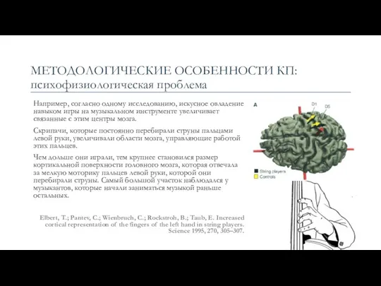 МЕТОДОЛОГИЧЕСКИЕ ОСОБЕННОСТИ КП: психофизиологическая проблема Например, согласно одному исследованию, искусное