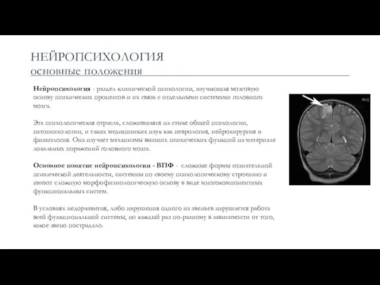 НЕЙРОПСИХОЛОГИЯ основные положения Нейропсихология - раздел клинической психологии, изучающая мозговую