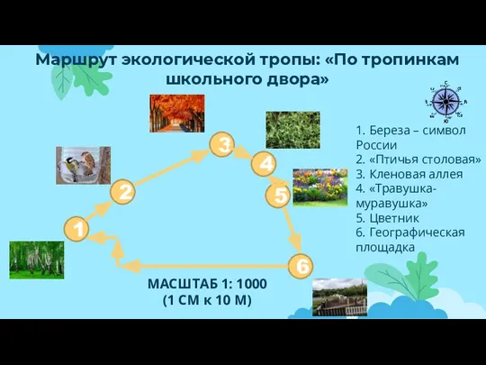 МАСШТАБ 1: 1000 (1 СМ к 10 М) Маршрут экологической