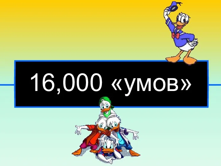 16,000 «умов»