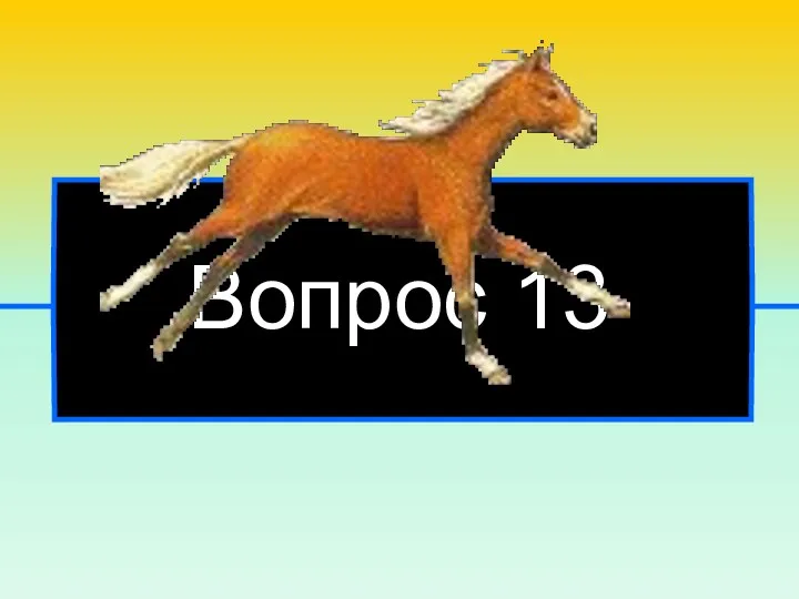 Вопрос 13