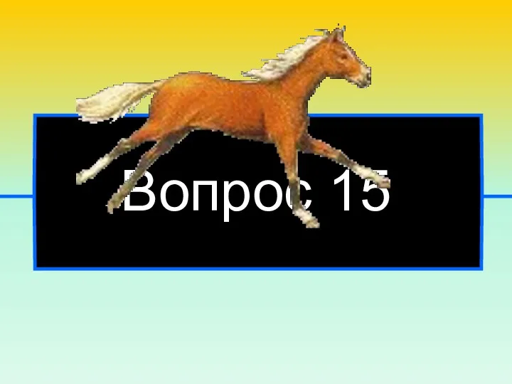 Вопрос 15