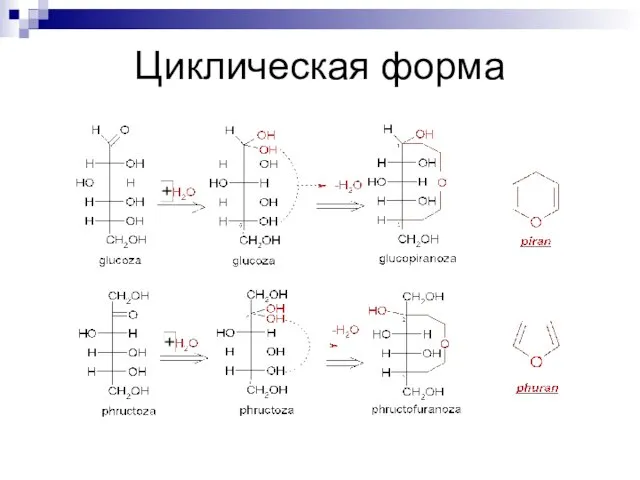 Циклическая форма