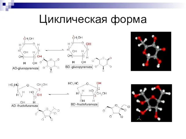 Циклическая форма