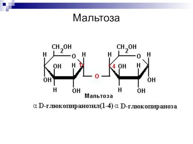 Мальтоза