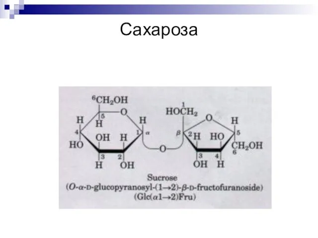 Сахароза