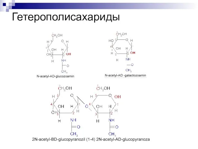 Гетерополисахариды