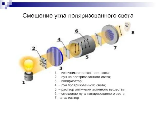 Смещение угла поляризованного света 1. – источник естественного света; 2.