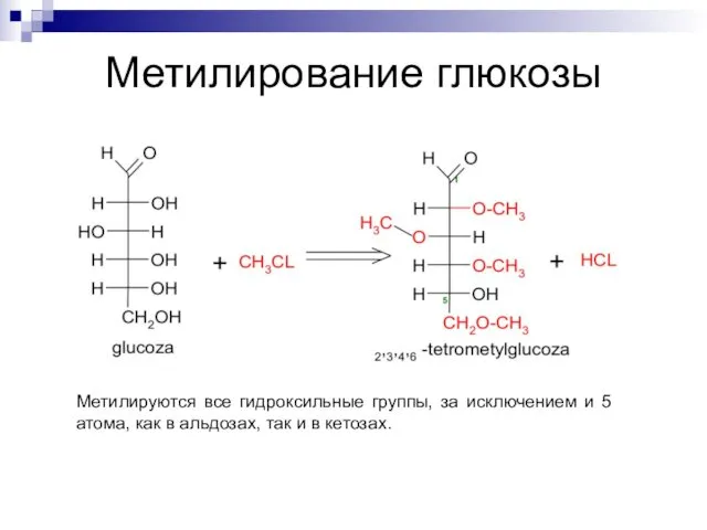 Метилирование глюкозы Метилируются все гидроксильные группы, за исключением и 5