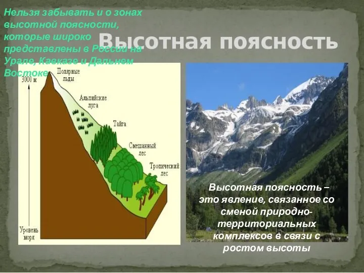 Нельзя забывать и о зонах высотной поясности, которые широко представлены