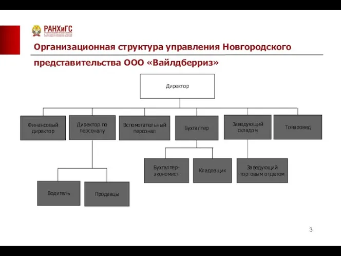 Организационная структура управления Новгородского представительства ООО «Вайлдберриз»