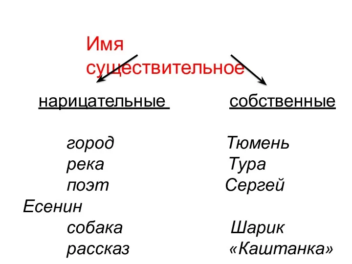 Имя существительное нарицательные собственные город Тюмень река Тура поэт Сергей Есенин собака Шарик рассказ «Каштанка»