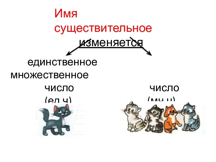 Имя существительное изменяется единственное множественное число число (ед.ч) (мн.ч)