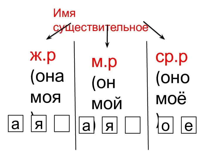 Имя существительное ж.р (она моя) м.р (он мой) ср.р (оно