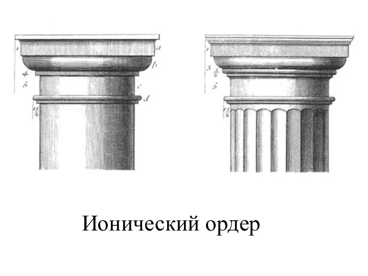 Ионический ордер