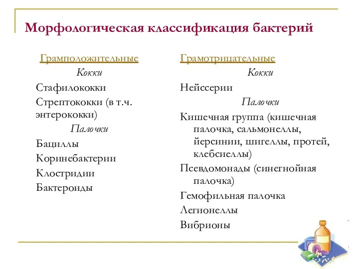 Морфологическая классификация бактерий Грамположительные Кокки Стафилококки Стрептококки (в т.ч. энтерококки)