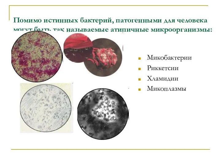Помимо истинных бактерий, патогенными для человека могут быть так называемые атипичные микроорганизмы: Микобактерии Риккетсии Хламидии Микоплазмы