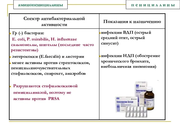 п е н и ц и л л и н ы аминопенициллины