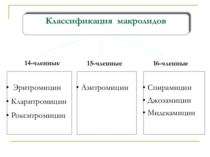 Классификация макролидов Эритромицин Кларитромицин Рокситромицин Азитромицин Спирамицин Джозамицин Мидекамицин 14-членные 15-членные 16-членные