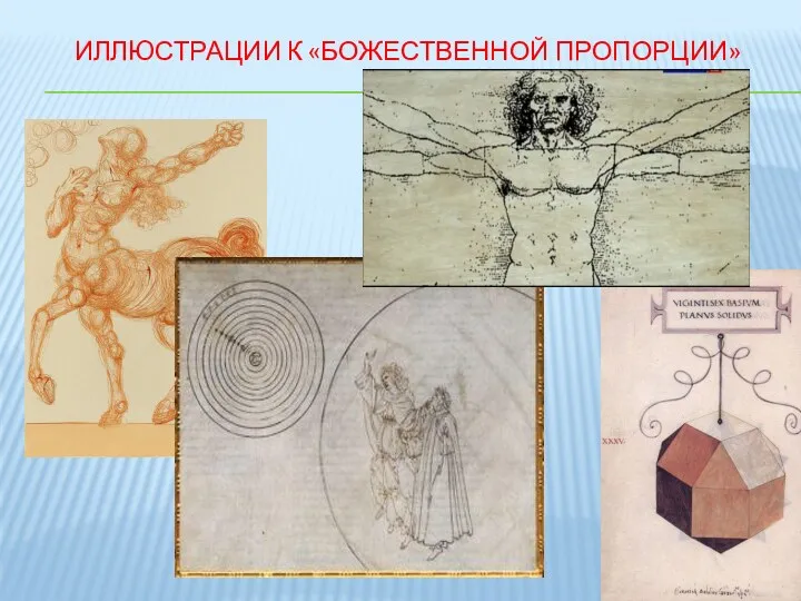 ИЛЛЮСТРАЦИИ К «БОЖЕСТВЕННОЙ ПРОПОРЦИИ»
