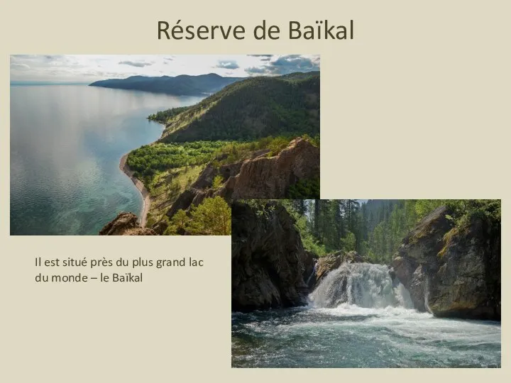 Réserve de Baïkal Il est situé près du plus grand lac du monde – le Baïkal
