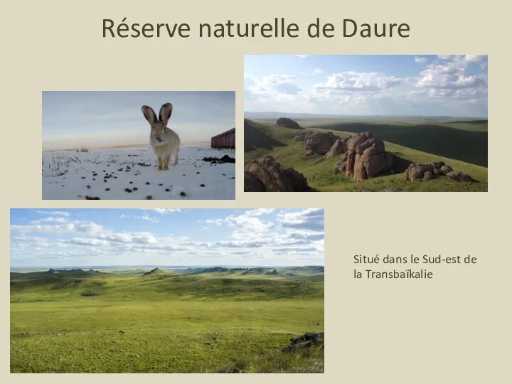 Réserve naturelle de Daure Situé dans le Sud-est de la Transbaïkalie