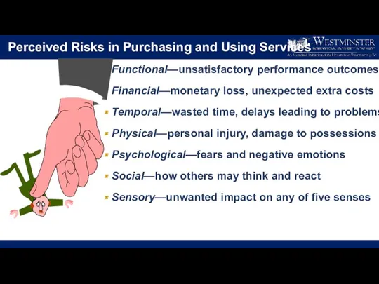 Perceived Risks in Purchasing and Using Services Functional—unsatisfactory performance outcomes Financial—monetary loss, unexpected