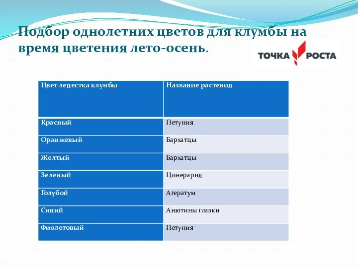 Подбор однолетних цветов для клумбы на время цветения лето-осень.