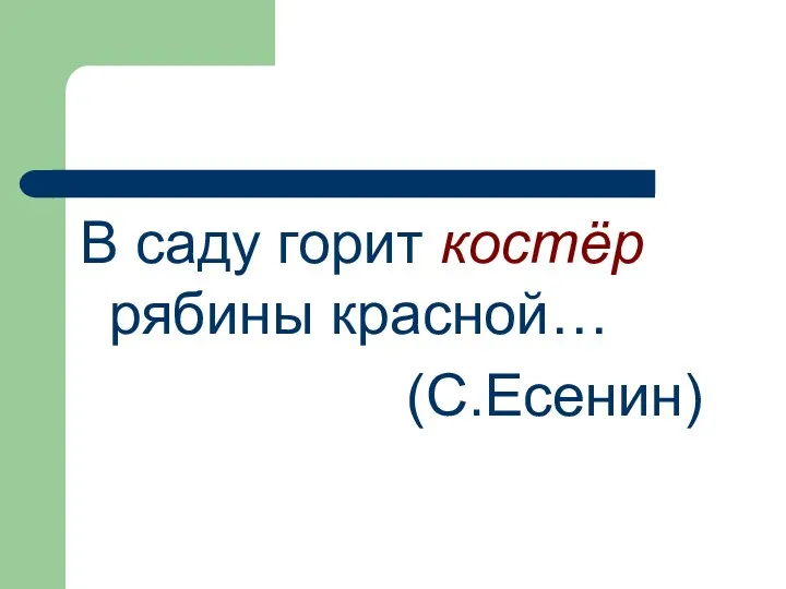 В саду горит костёр рябины красной… (С.Есенин)