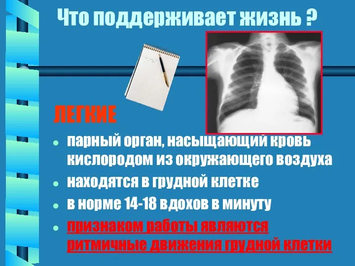 Что поддерживает жизнь ? ЛЕГКИЕ парный орган, насыщающий кровь кислородом