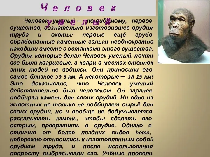 Человек умелый — по-видимому, первое существо, сознательно изготовившее орудия труда