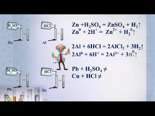 Zn Al Pb Cu H2SO4 H2SO4 HCl HCl