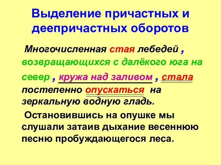 Выделение причастных и деепричастных оборотов Многочисленная стая лебедей , возвращающихся