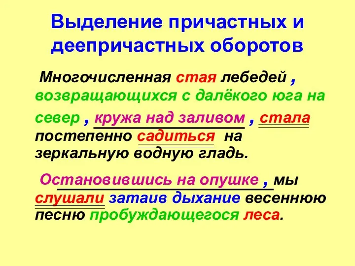 Выделение причастных и деепричастных оборотов Многочисленная стая лебедей , возвращающихся