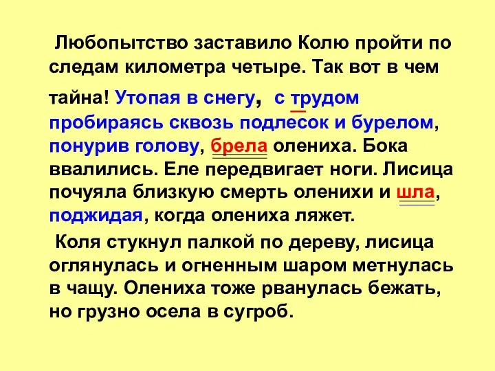 Любопытство заставило Колю пройти по следам километра четыре. Так вот