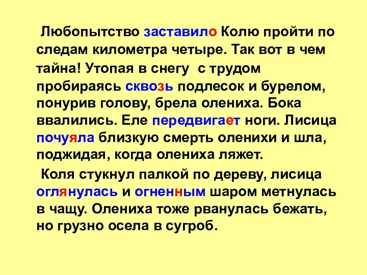 Любопытство заставило Колю пройти по следам километра четыре. Так вот