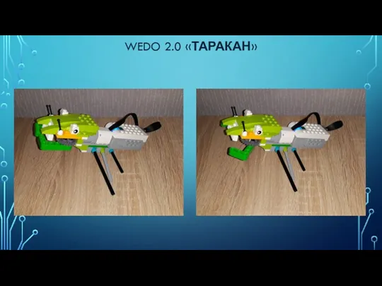 WEDO 2.0 «ТАРАКАН»