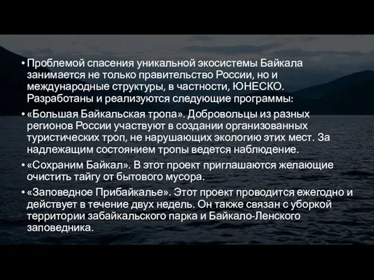 Проблемой спасения уникальной экосистемы Байкала занимается не только правительство России,