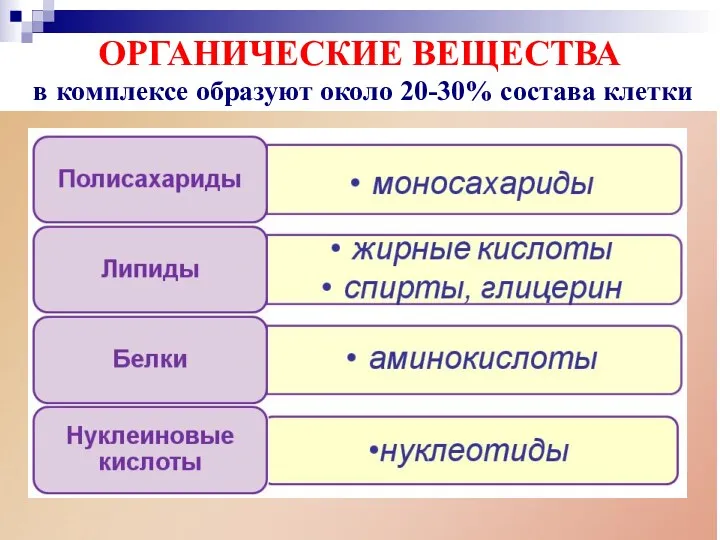 ОРГАНИЧЕСКИЕ ВЕЩЕСТВА в комплексе образуют около 20-30% состава клетки