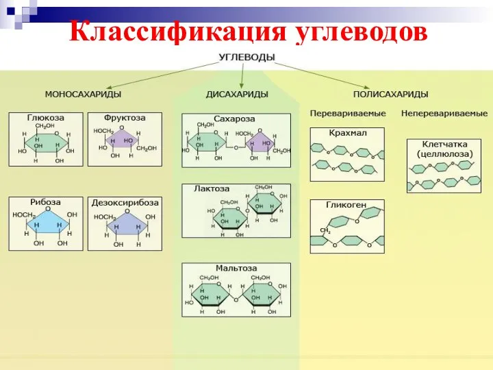 Классификация углеводов