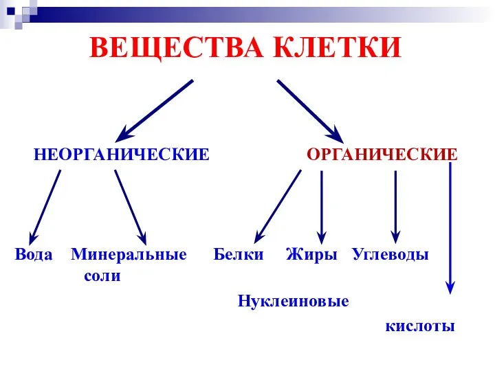 ВЕЩЕСТВА КЛЕТКИ НЕОРГАНИЧЕСКИЕ ОРГАНИЧЕСКИЕ Вода Минеральные Белки Жиры Углеводы соли Нуклеиновые кислоты