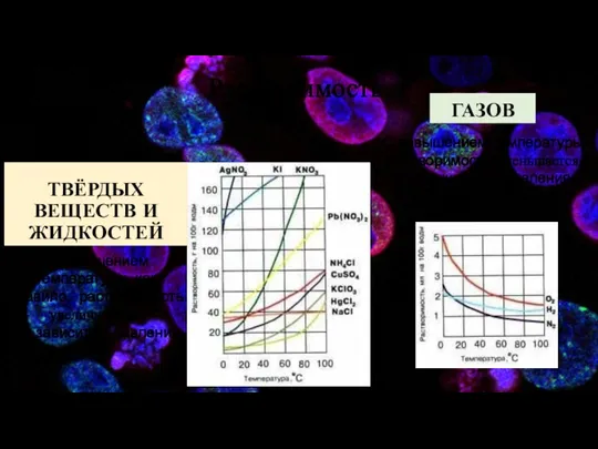 Растворимость ТВЁРДЫХ ВЕЩЕСТВ И ЖИДКОСТЕЙ ГАЗОВ С повышением температуры растворимость