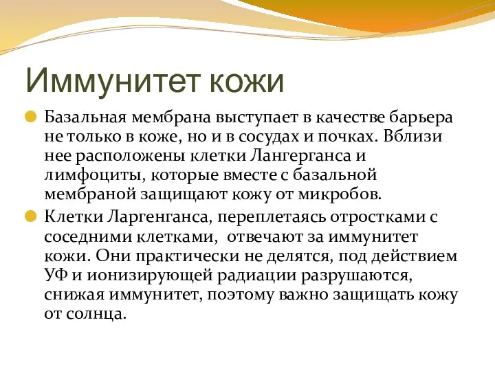 Иммунитет кожи Базальная мембрана выступает в качестве барьера не только