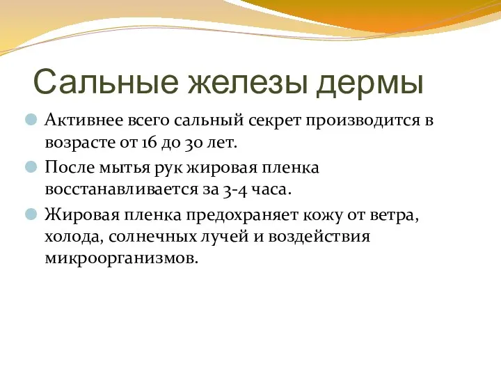 Сальные железы дермы Активнее всего сальный секрет производится в возрасте